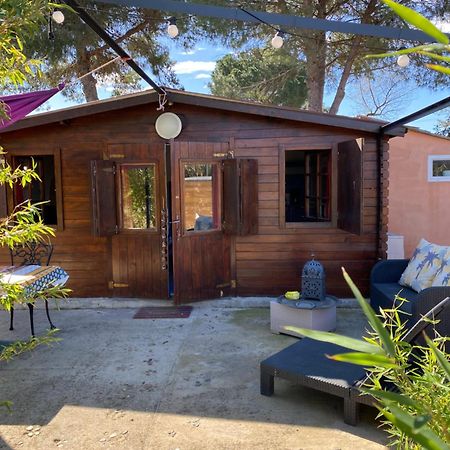 Chalet Des Oliviers 20Mn Des Plages Climatise Beziers Bagian luar foto